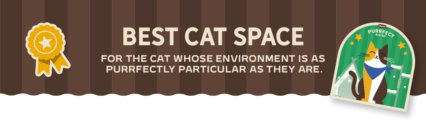 Best Cat Space