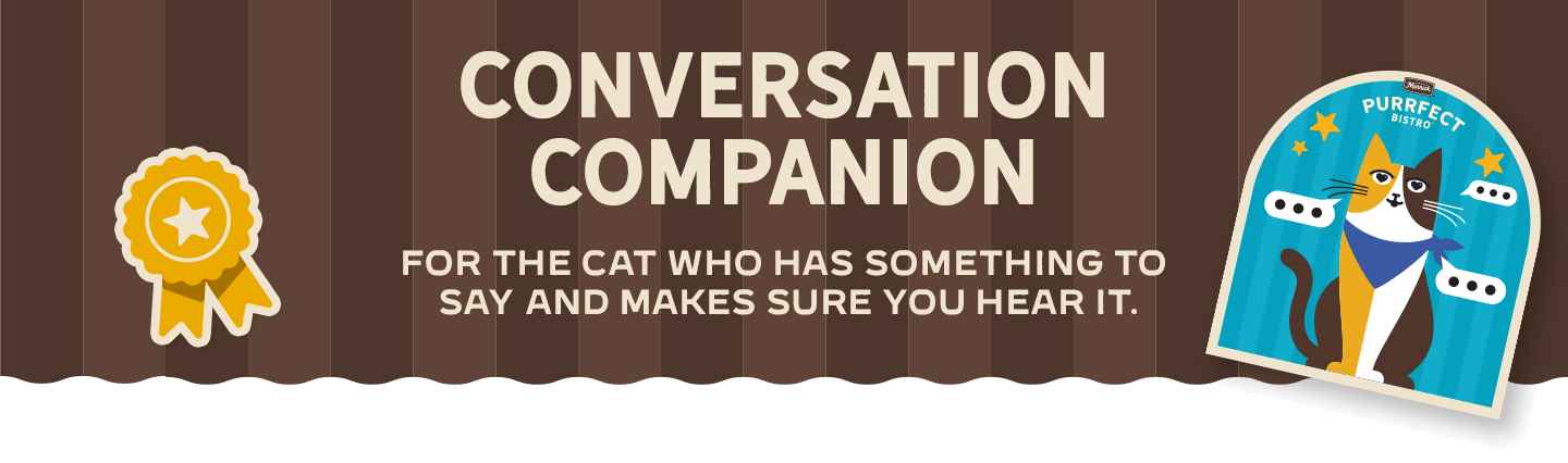 Conversation Companion