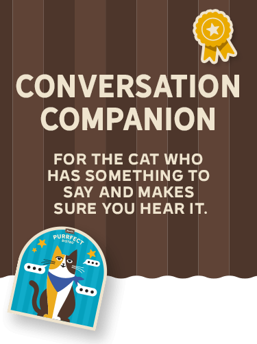 Conversation Companion