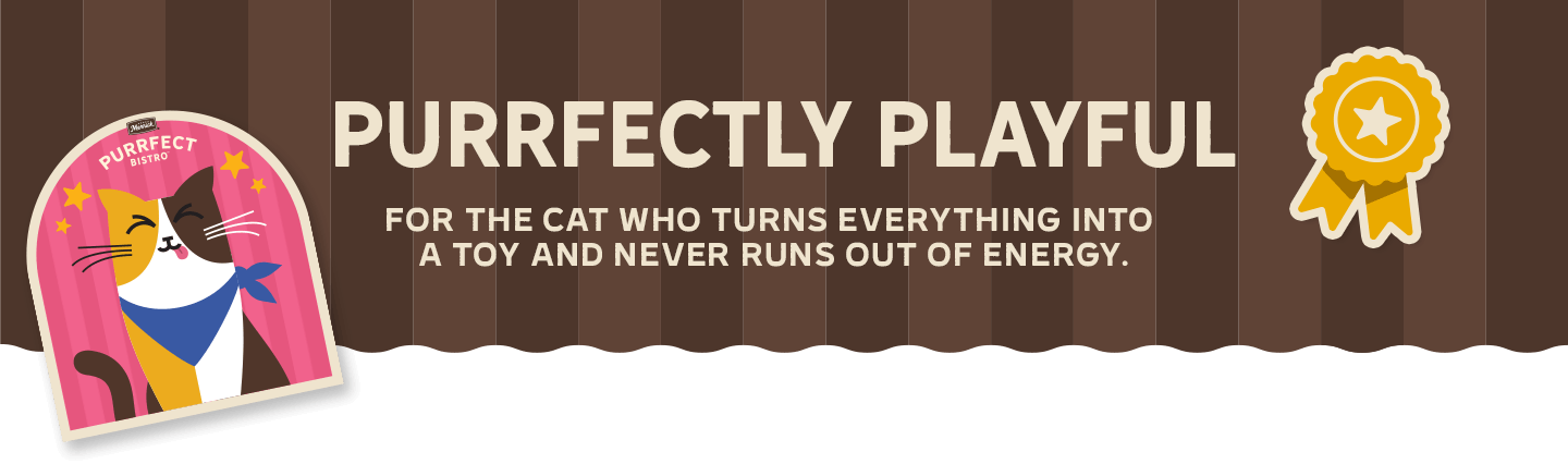 PURRFECTLY PLAYFUL