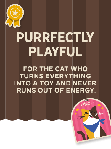 PURRFECTLY PLAYFUL 