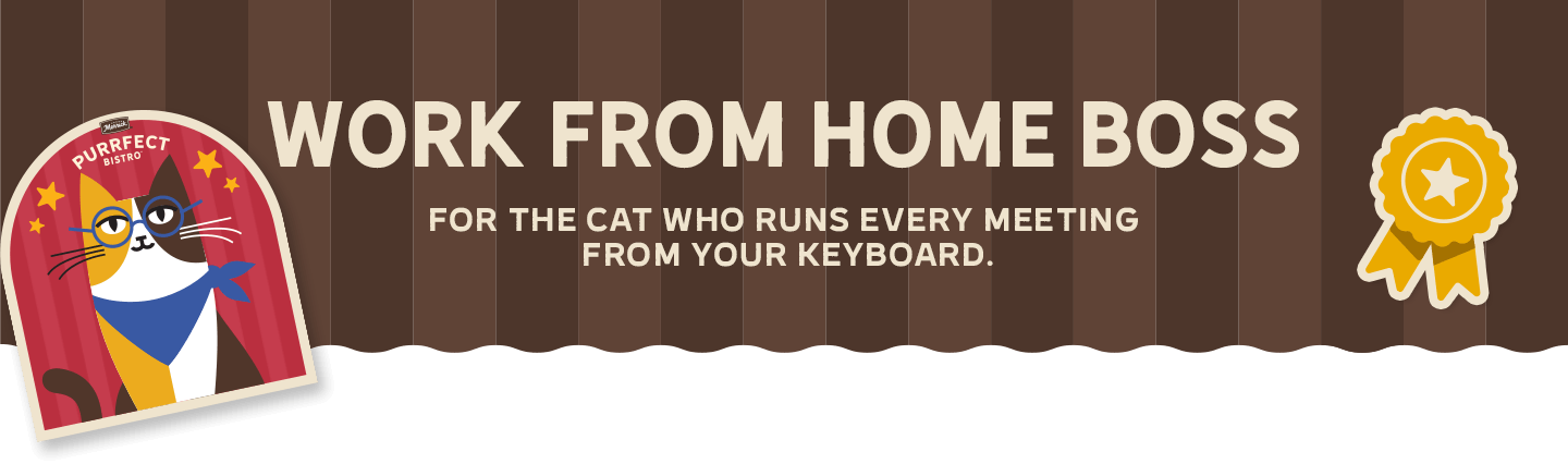 Work From Home Boss