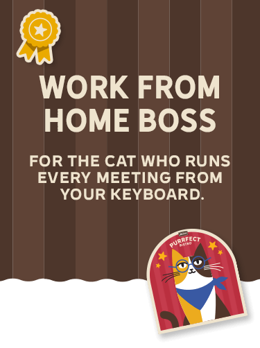 Work From Home Boss