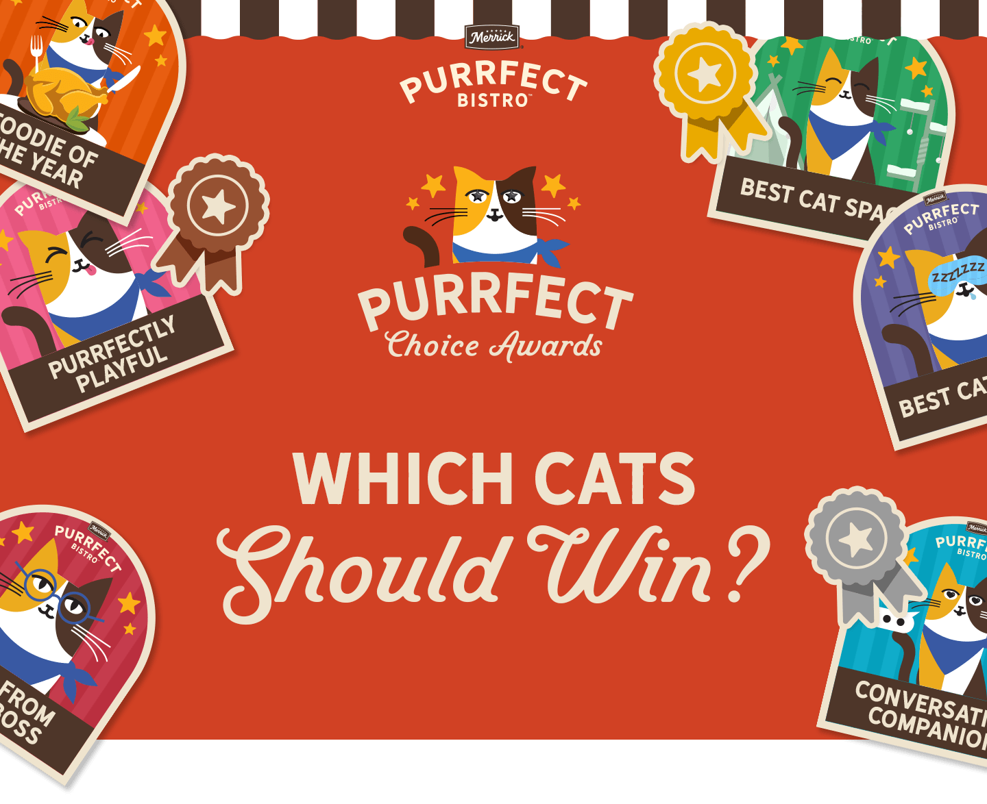 Which cats should win